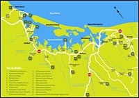 Tauranga Map